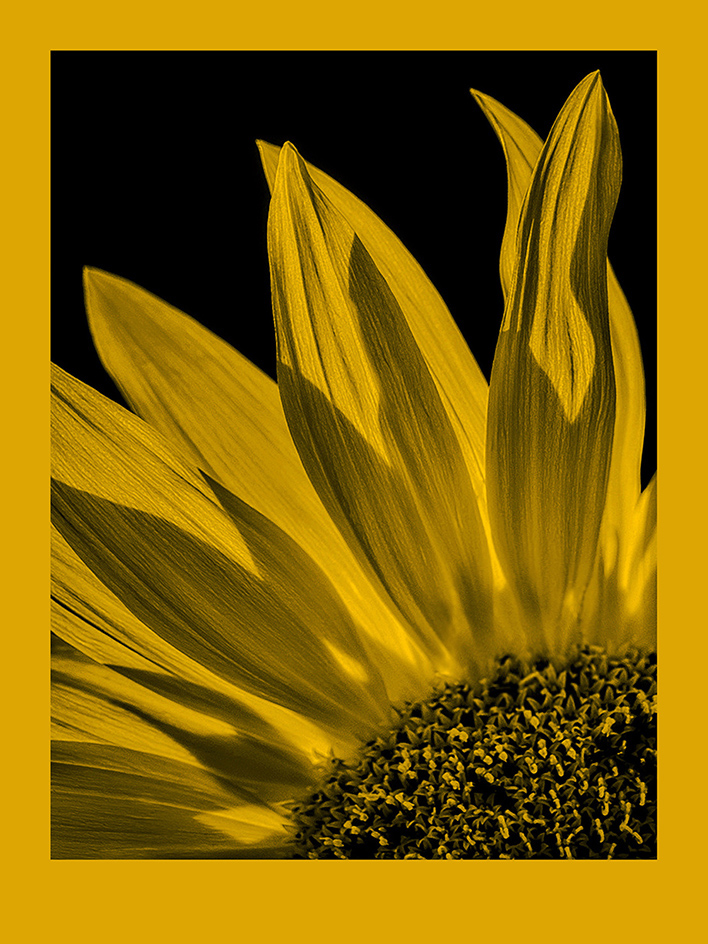 FomaPastel MG 101 yellow 20,3x25,4 CM (8x10 INCH)/10 SH.