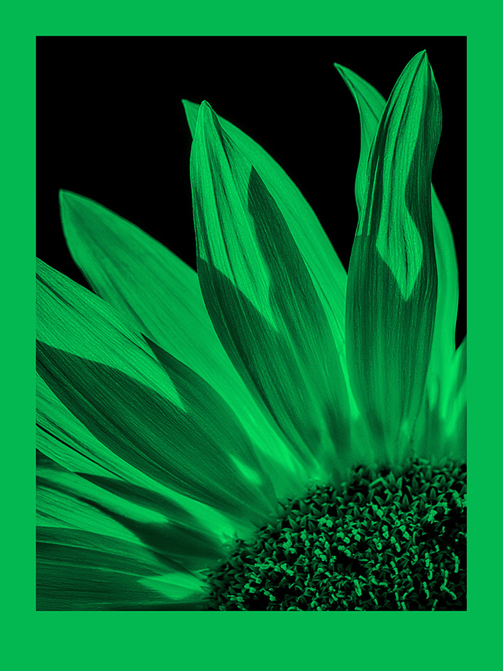 FomaPastel MG151 green 20,3x25,4 CM (8x10 INCH)/10 SH.