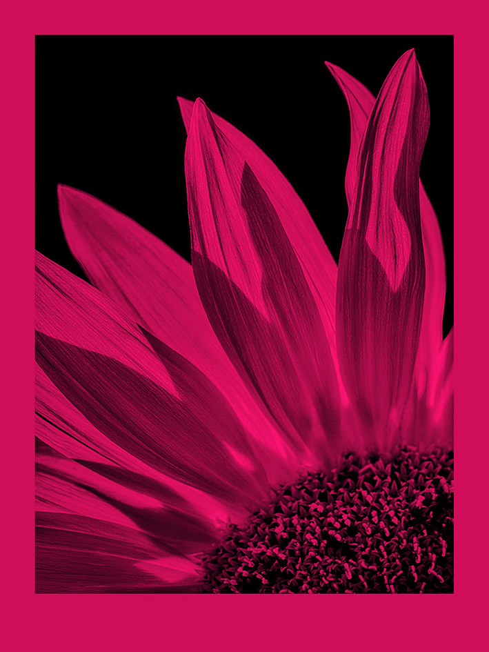 FomaPastel MG191 magenta 30,5x40,6 CM (12x16 INCH)/10 SH.