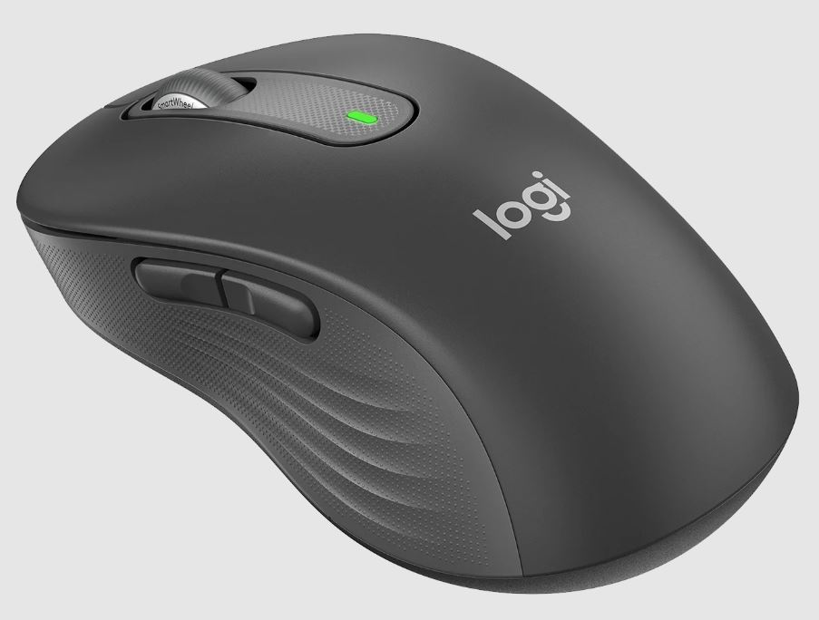 Souris Logitech Signature M650