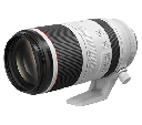 Canon RF 100-500mm f/4.5-7.1L IS USM