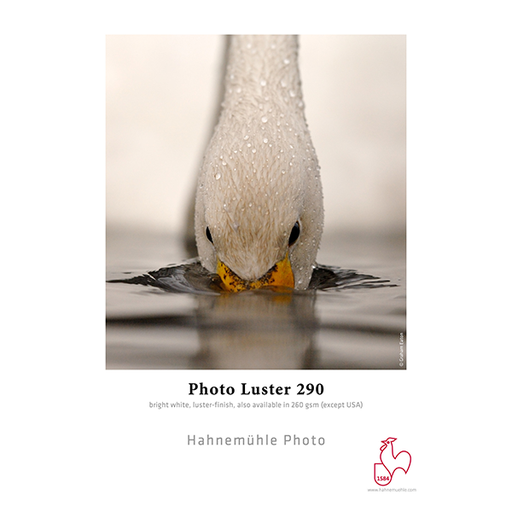 Hahnemuhle Photo Luster 290gm2 44'' Roll 1.118x30m