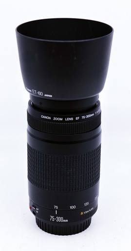OCCASION Canon EF 75-300mm f4-5.6 II