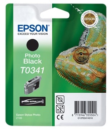 Epson Photo Black 2100 (T0341)