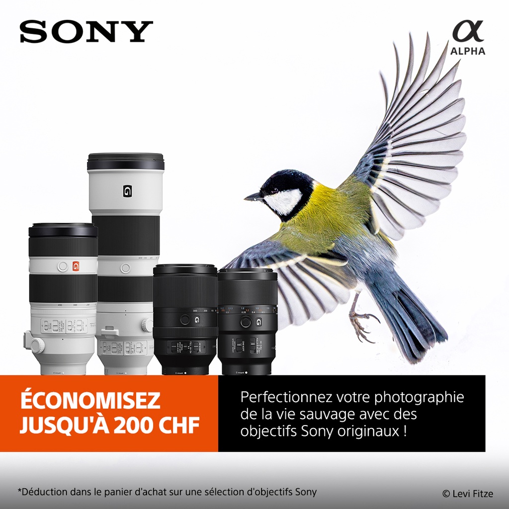 Sony 70-200mm 4 G2 OSS FE