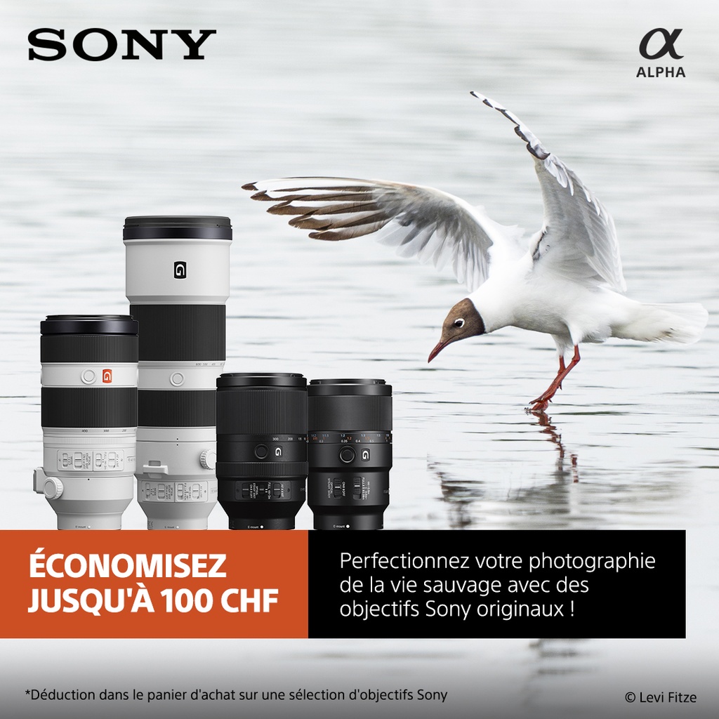 Sony SEL 20TC