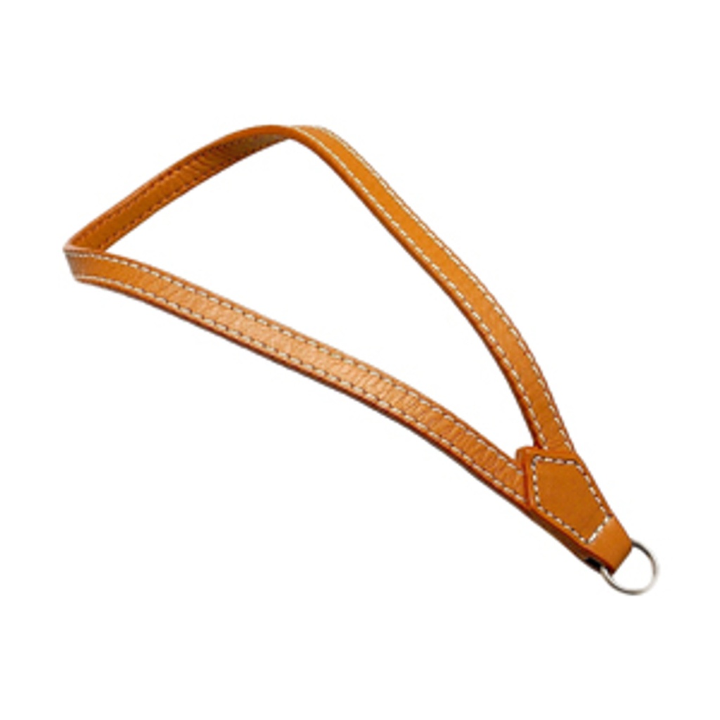 Leica Dragonne de main D-LUX Typ 109