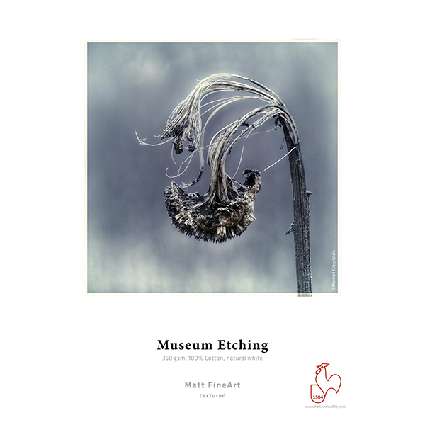 Hahnemuhle Museum Etching 350g A4 (25 feuilles)