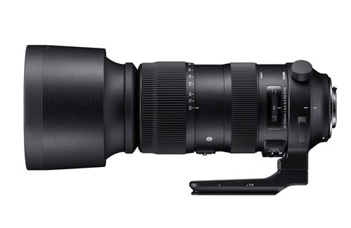 Sigma 60-600mm f4.5-6.3 DG DN OS Sport (Sony-E)