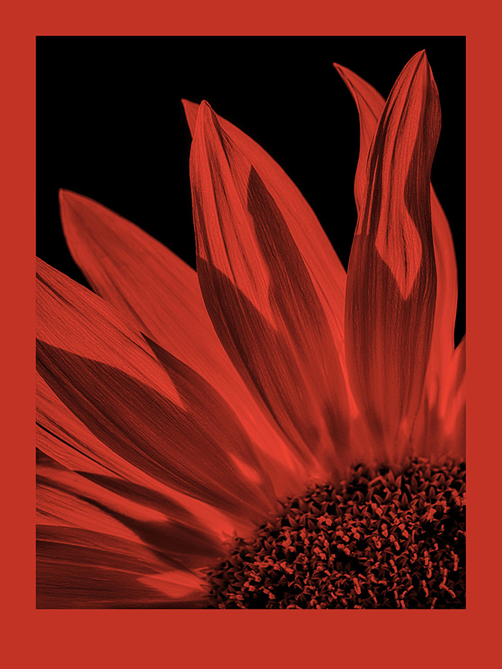 FomaPastel MG 171 red 20,3x25,4 CM (8x10 INCH)/10 SH.