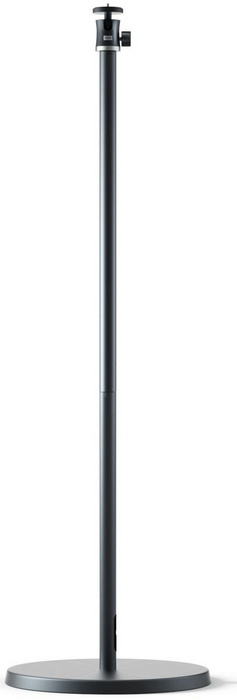 Dangbei Pied 10-90 cm