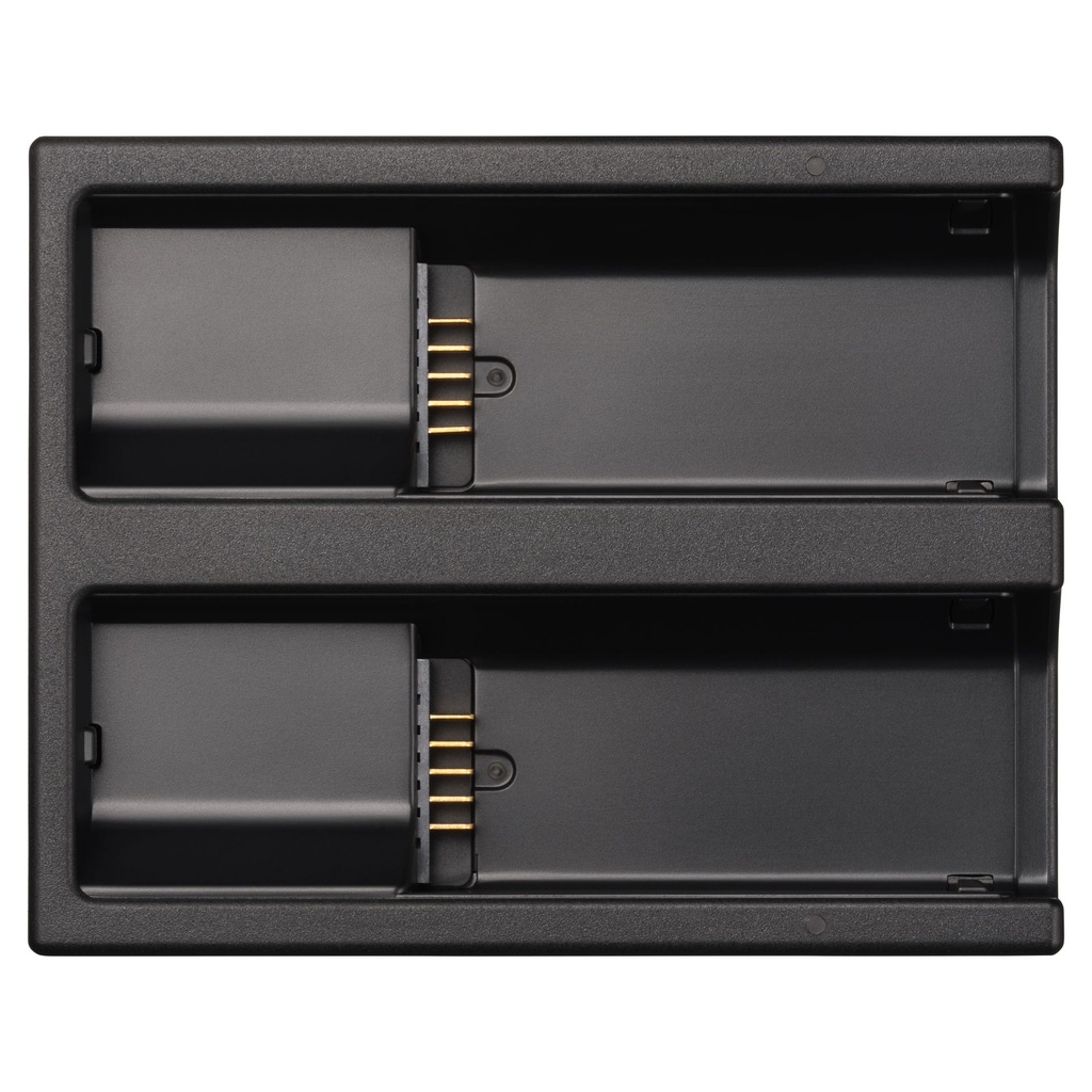 SIGMA Chargeur de batterie BC-81 (BF)
