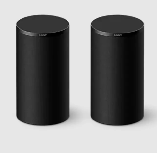 Sony SA-RS9 AV haut-parleurs Surround (Paire)