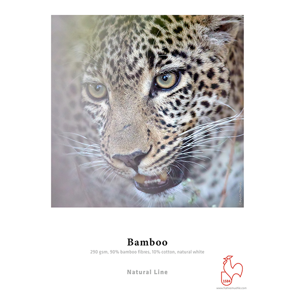 Hahnemuhle Bamboo A4 290g (25 feuilles)