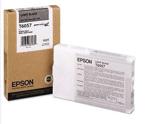 Epson 4800-4880 110mml Light black