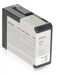 Epson 3800 photo light light black T5809