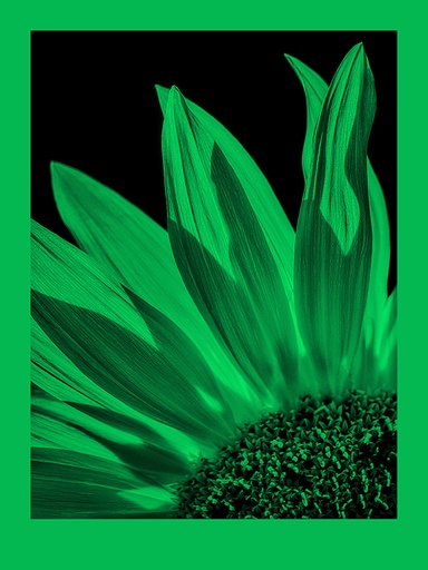 FomaPastel MG151 green 50,8x61 CM (20x24 INCH)/10 SH.