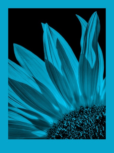 FomaPastel MG161 blue 20,3x25,4 CM (8x10 INCH)/10 SH.