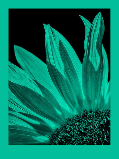 FomaPastel MG181 cyan 30,5x40,6 CM (12x16 INCH)/10 SH.