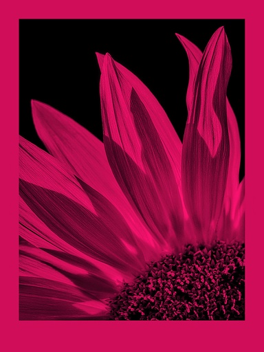 FomaPastel MG191 magenta 50,8x61 CM (20x24 INCH)/10 SH.