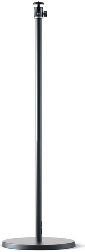 Dangbei Pied 10-90 cm